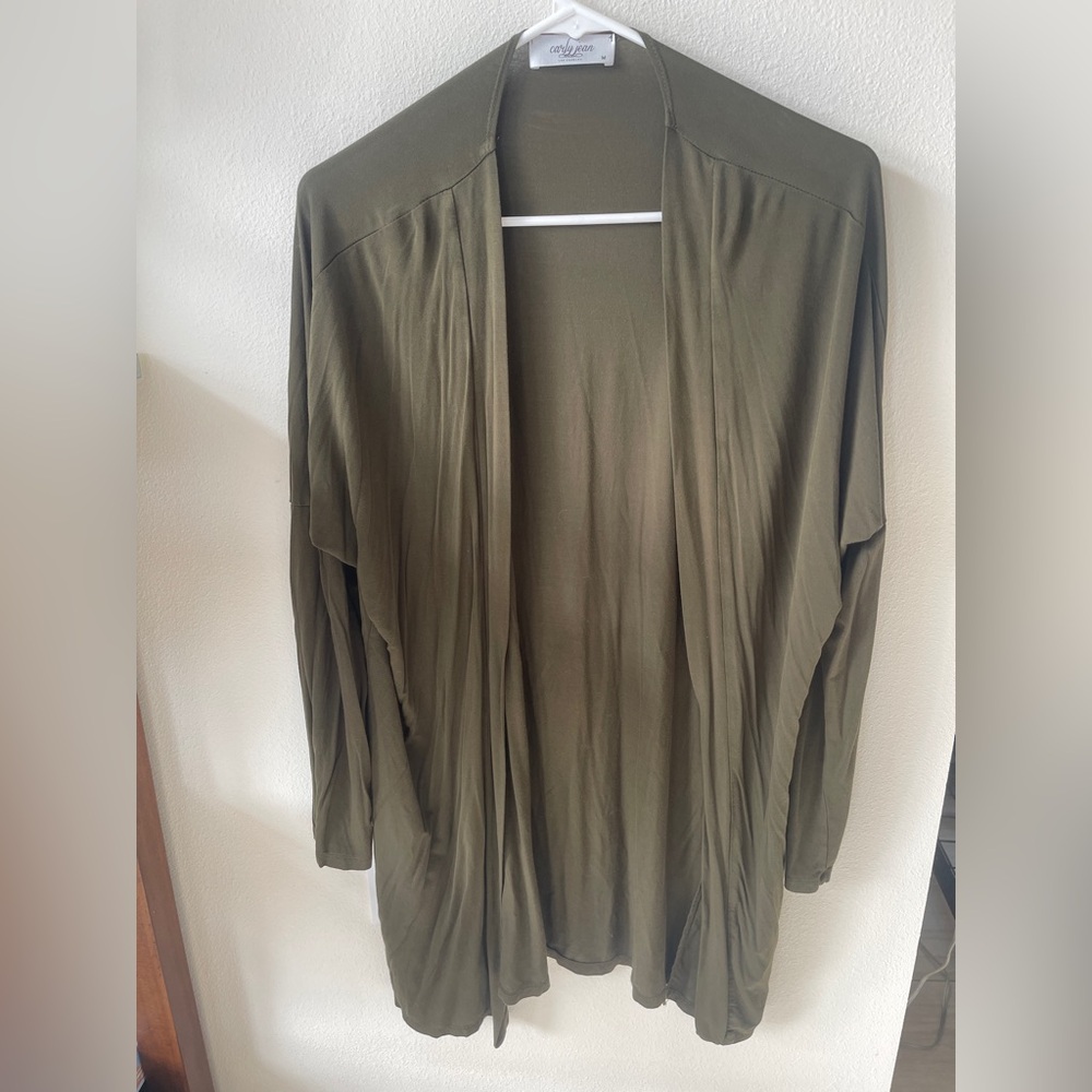 CJLA Olive Green Women's Sweater Size M